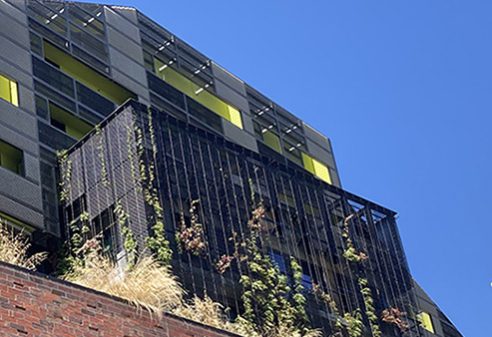 Project: Ozanhm House